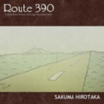 6:Route 390